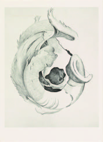 Appleby Gallery : Georgia O’Keeffe : Memories of Drawings Image: Georgia O'Keeffe, Goat’s Horns II, 1945, from Some Memories of Drawings, 1974 © Georgia O'Keeffe Museum/DACS, London 2024. Photo: Anna Arca
